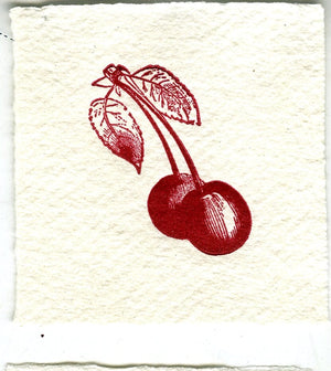 Mini Letterpress Cards from Le Vocabulaire Illustré Note Card Papillon Press Cherries - red 