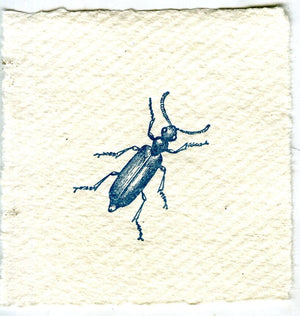 Mini Letterpress Cards from Le Vocabulaire Illustré Note Card Papillon Press Beetle - blue 