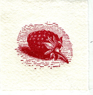 Mini Letterpress Cards from Le Vocabulaire Illustré Note Card Papillon Press Raspberry - red 