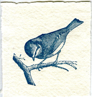 Mini Letterpress Cards from Le Vocabulaire Illustré Note Card Papillon Press Bird - blue 