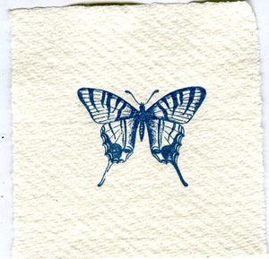 Mini Letterpress Cards from Le Vocabulaire Illustré Note Card Papillon Press Butterfly - swallowtail - blue 