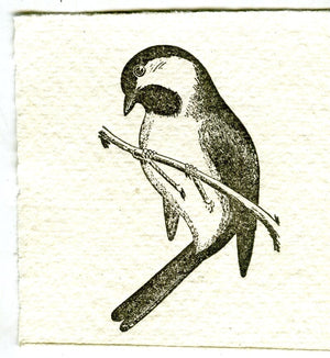 Mini Letterpress Cards from Le Vocabulaire Illustré Note Card Papillon Press Chickadee bird - gray 
