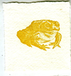 Mini Letterpress Cards from Le Vocabulaire Illustré Note Card Papillon Press Frog - yellow 