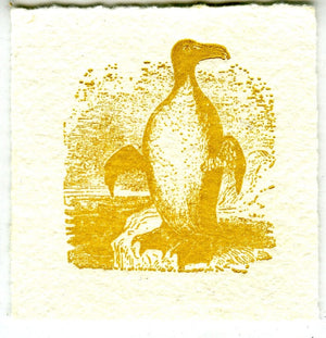Mini Letterpress Cards from Le Vocabulaire Illustré Note Card Papillon Press Great Auk - yellow 