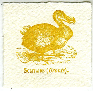 Mini Letterpress Cards from Le Vocabulaire Illustré Note Card Papillon Press Dodo - yellow 