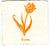 Mini Letterpress Cards from Le Vocabulaire Illustré Note Card Papillon Press Tulip - orange 