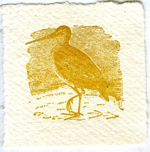 Mini Letterpress Cards from Le Vocabulaire Illustré Note Card Papillon Press Piper bird - yellow 