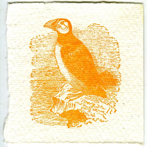 Mini Letterpress Cards from Le Vocabulaire Illustré Note Card Papillon Press Puffin - orange 