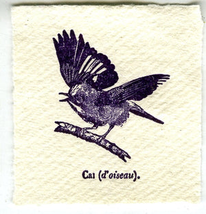 Mini Letterpress Cards from Le Vocabulaire Illustré Note Card Papillon Press Bird - cri - violet purple 