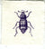 Mini Letterpress Cards from Le Vocabulaire Illustré Note Card Papillon Press Beetle - violet purple 