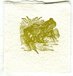 Mini Letterpress Cards from Le Vocabulaire Illustré Note Card Papillon Press Frog - green 