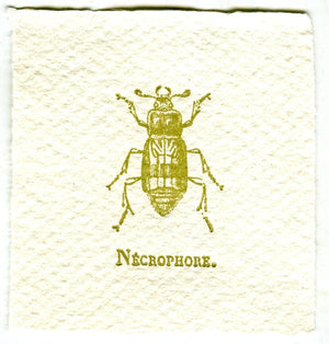 Mini Letterpress Cards from Le Vocabulaire Illustré Note Card Papillon Press Beetle 2 - green 