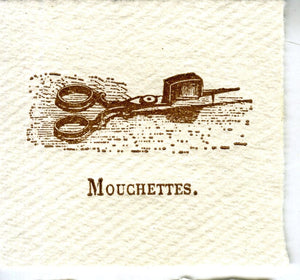 Mini Letterpress Cards from Le Vocabulaire Illustré Note Card Papillon Press Mouchettes - brown 