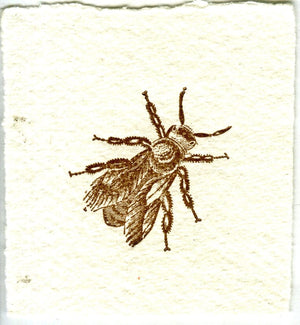 Mini Letterpress Cards from Le Vocabulaire Illustré Note Card Papillon Press Bee - brown 