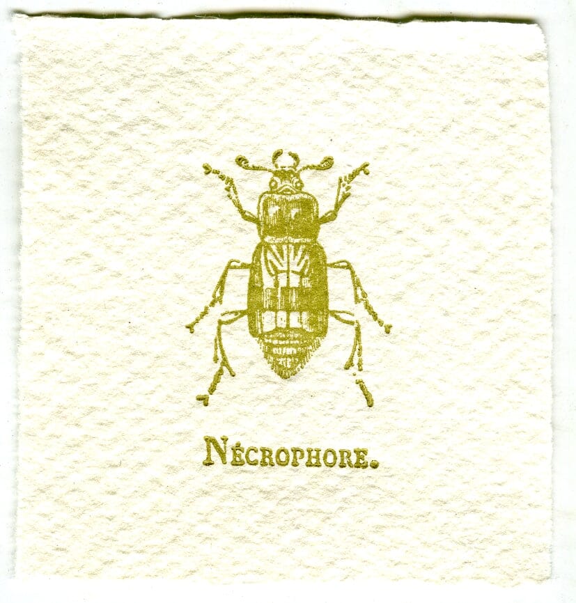 Mini Letterpress Cards from Le Vocabulaire Illustré Note Card Papillon Press Beetle 2 - green 