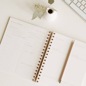Daily Overview Planner | Assorted Colors // Undated Planner Ramona & Ruth 