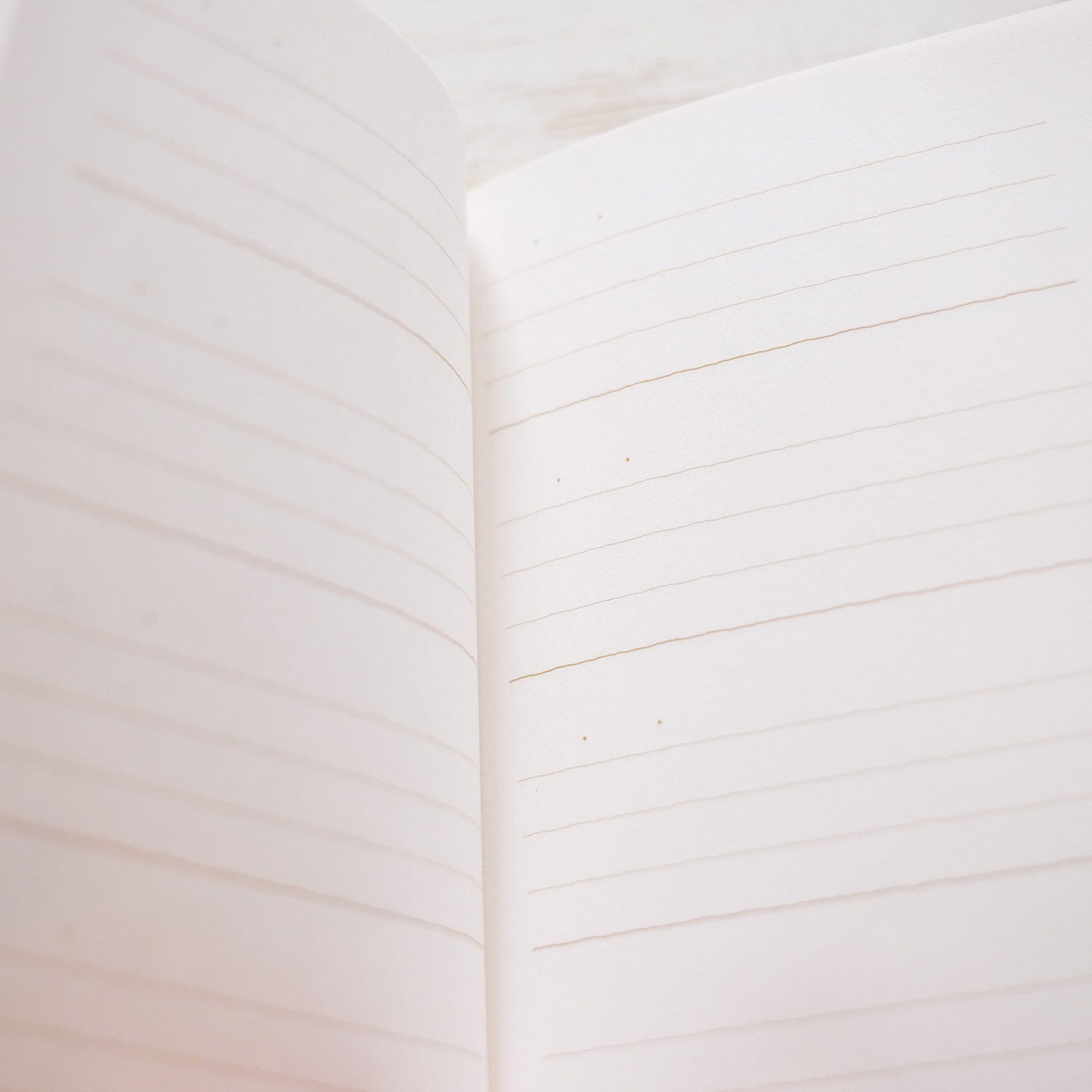 3 Minute Diary Planner Midori 