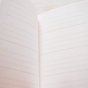 3 Minute Diary Planner Midori 