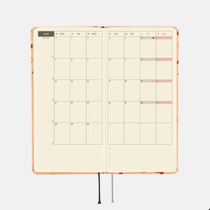 Hobonichi Techo 2027 Weeks MOTHER: Mr. Saturn Pattern