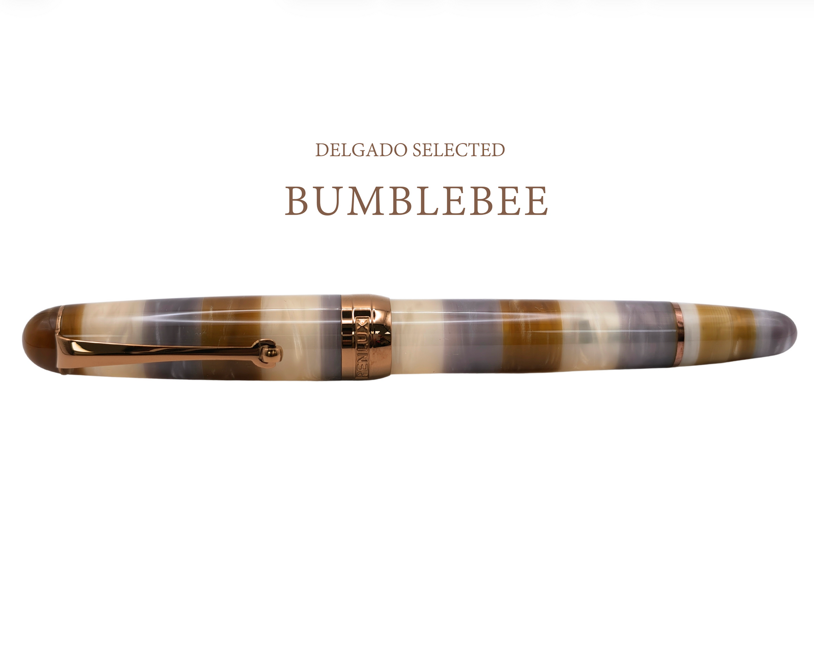 Penlux Delgado Select Fountain Pen - Bumblebee