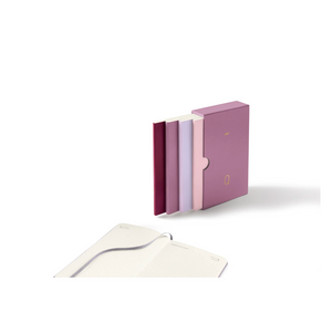 Quarterly Daily Planner 2027