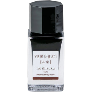Iroshizuku Bottled Ink