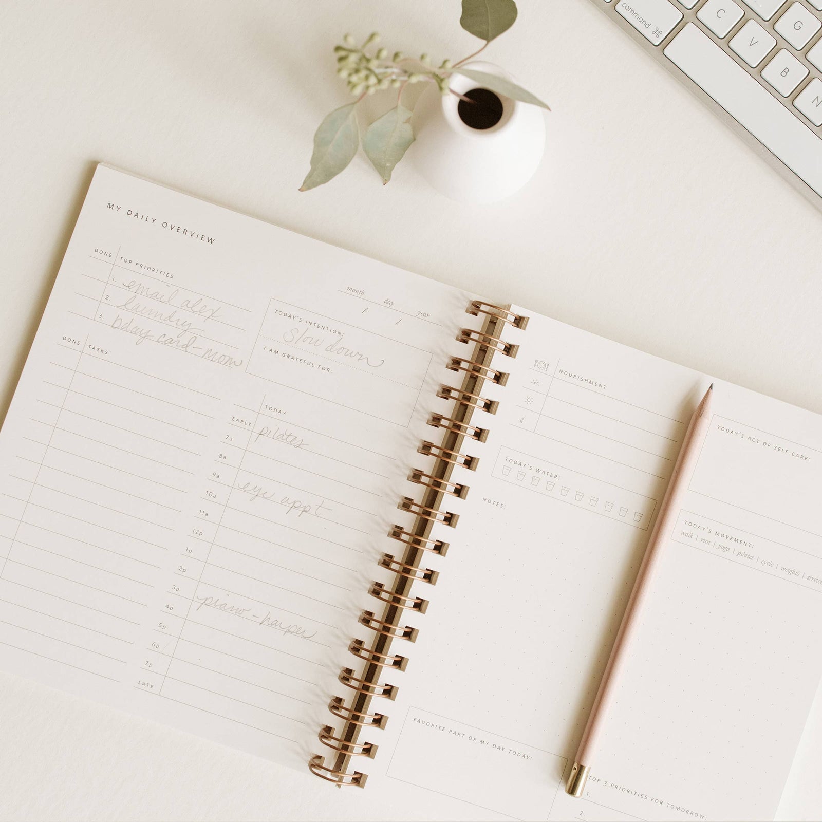 Daily Overview Planner | Assorted Colors // Undated Planner Ramona & Ruth 