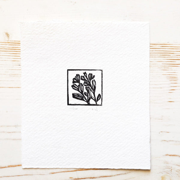 Mini Woodblock Print - Penstemon Art Print Papillon Press 