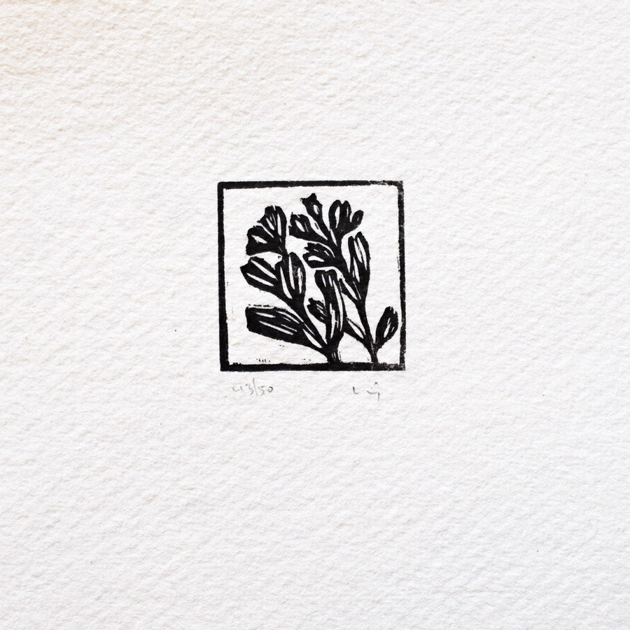Mini Woodblock Print - Penstemon Art Print Papillon Press 