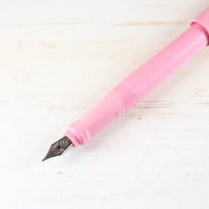 Kaweco Perkeo Fountain Pen Kaweco Pen Kaweco Peony Blossom Fine 