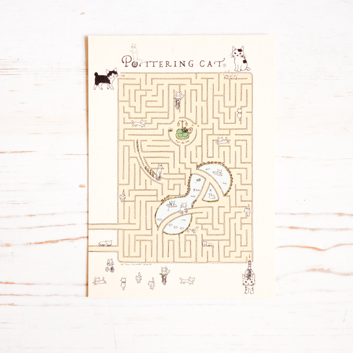 Pottering Cat Maze Postcard