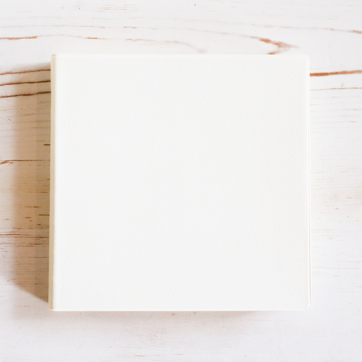 MD Diary 2027 A5 Square - 1 Day 1 Page