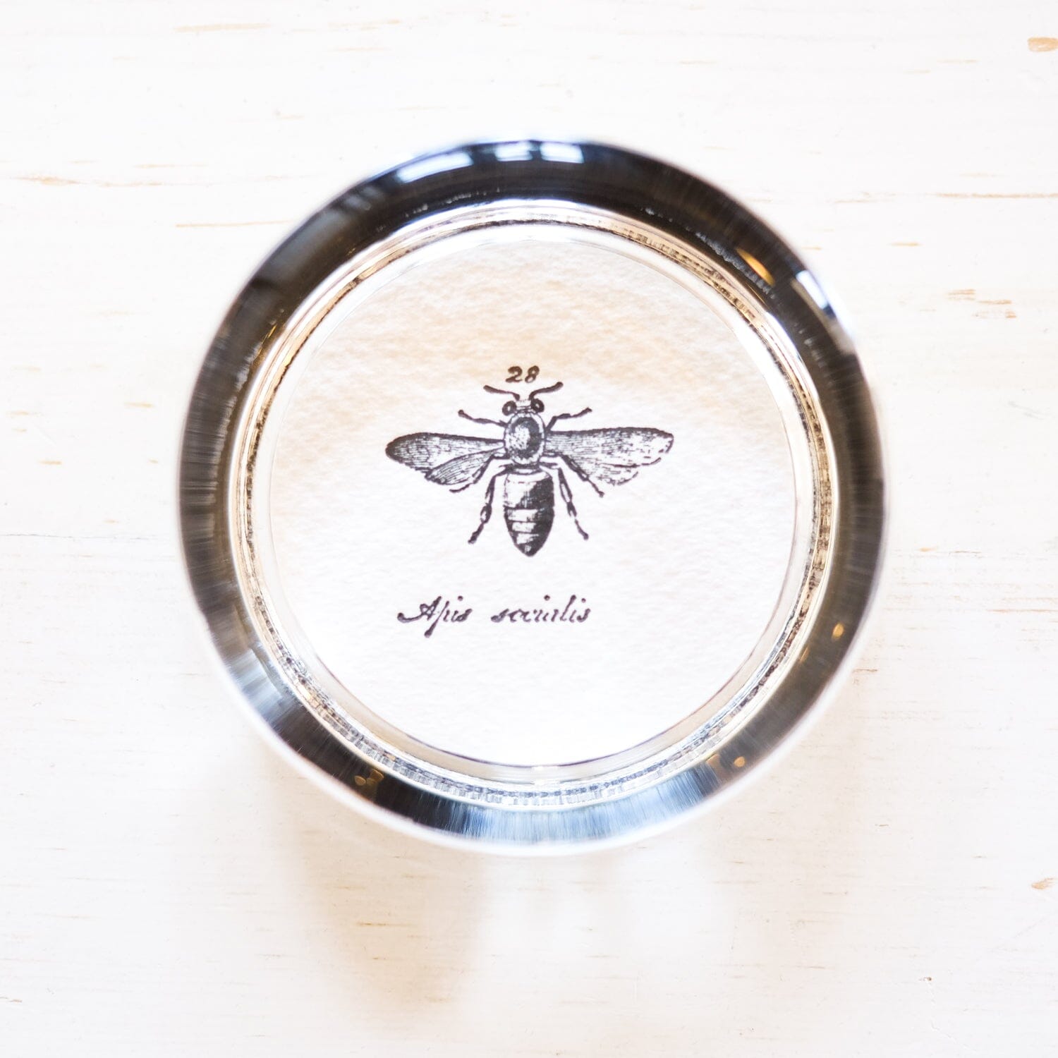 Glass Paperweight - Small Round paperweight Papillon Press 