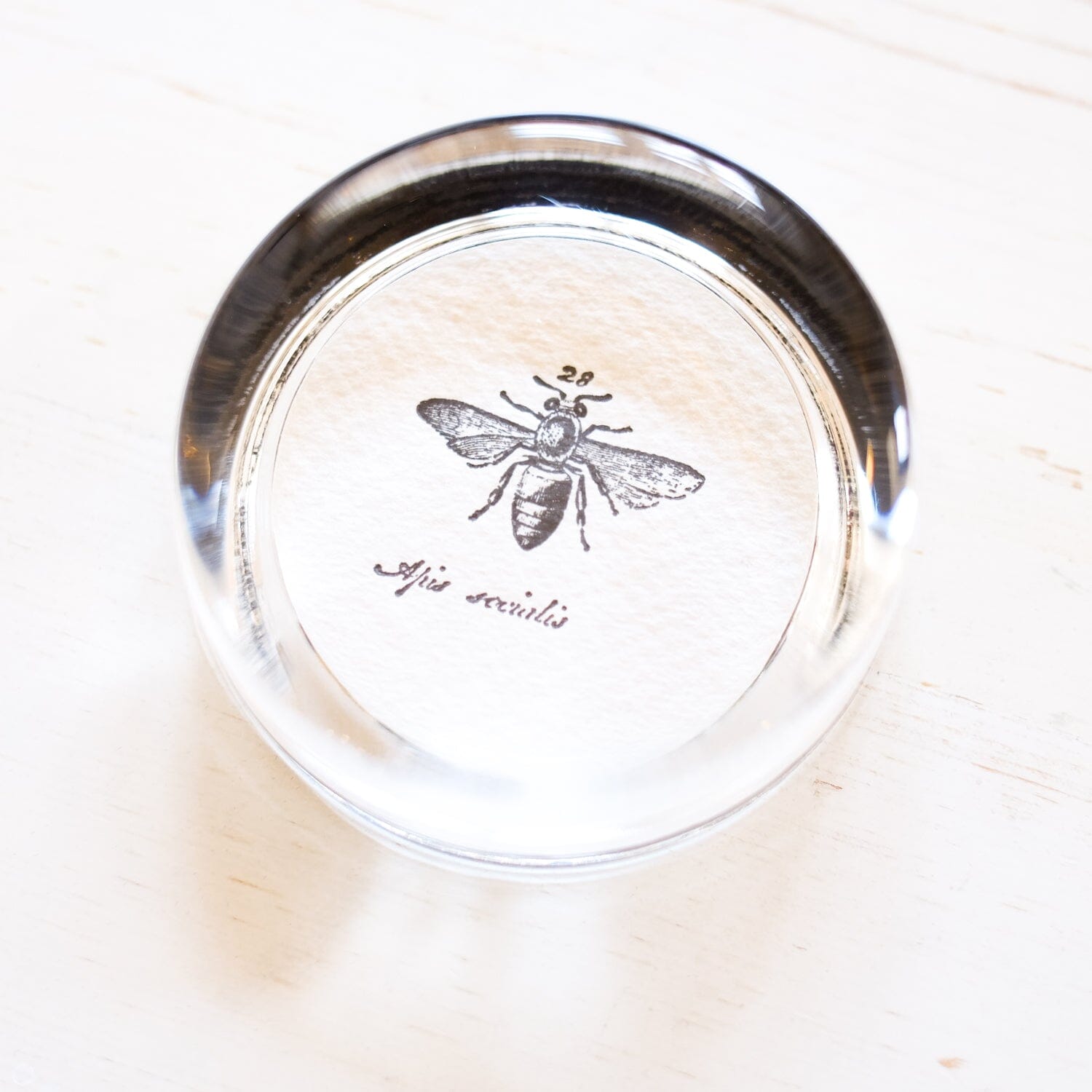 Glass Paperweight - Small Round paperweight Papillon Press 