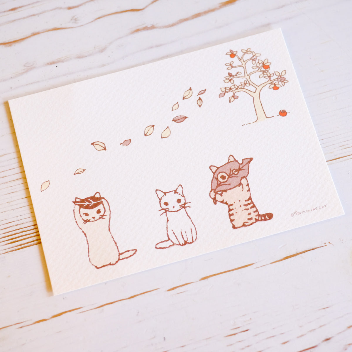 Pottering Cat Seasonal Postcard
