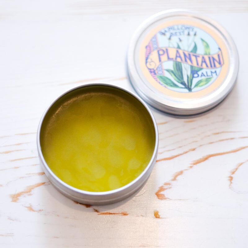 Papillon's Best Plantain Balm Balm Papillon Press 