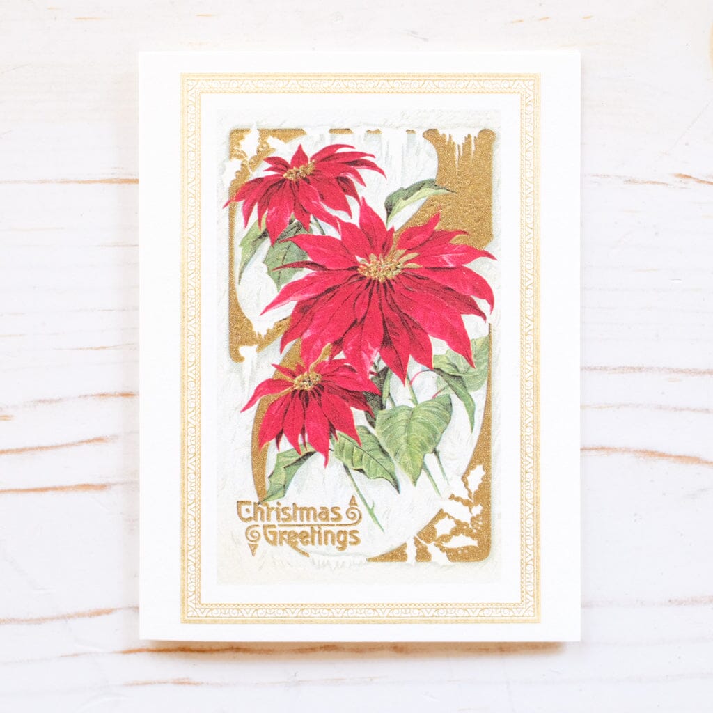 Poinsettia Mini Holiday Card Box Holiday Card Rossi 1931 