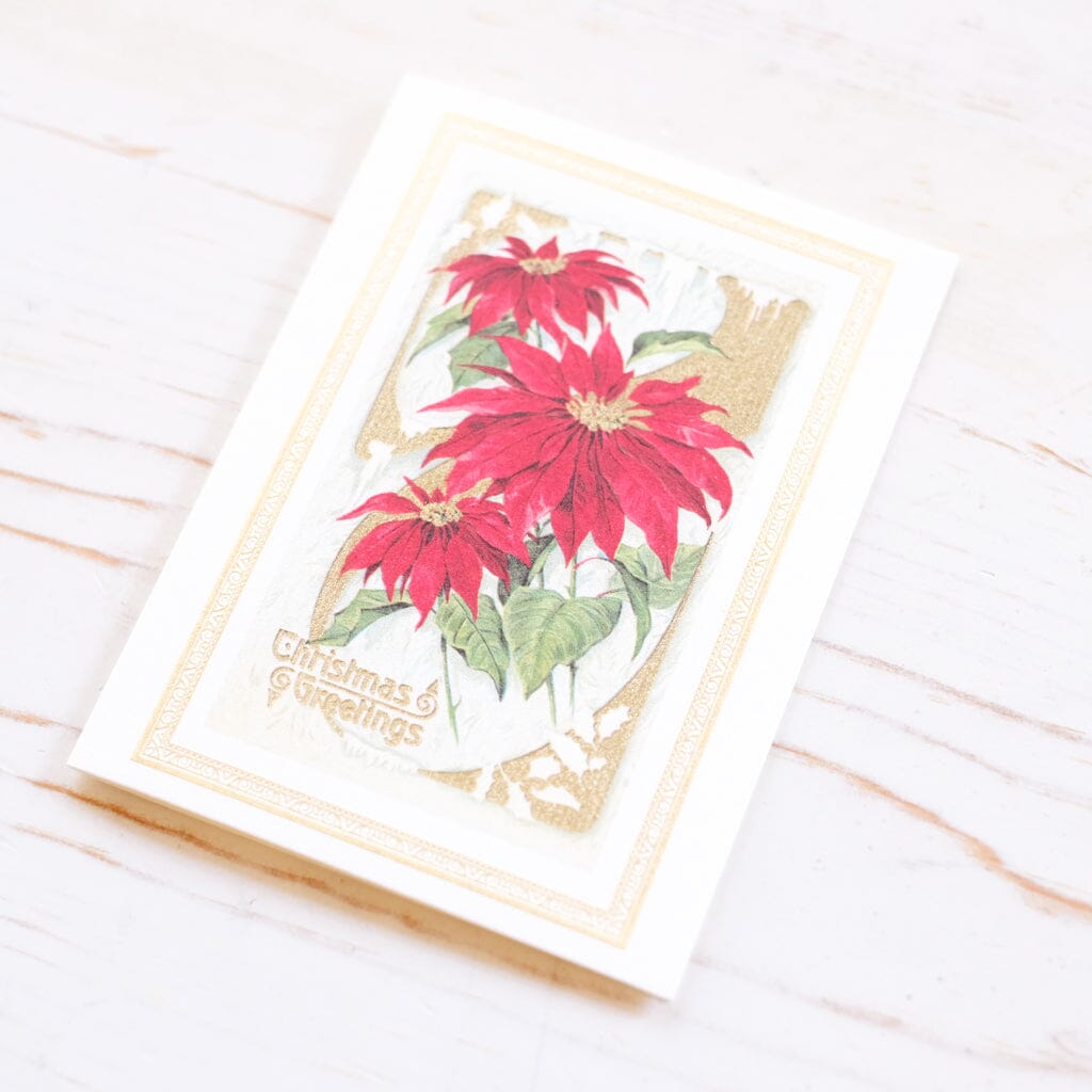 Poinsettia Mini Holiday Card Box Holiday Card Rossi 1931 