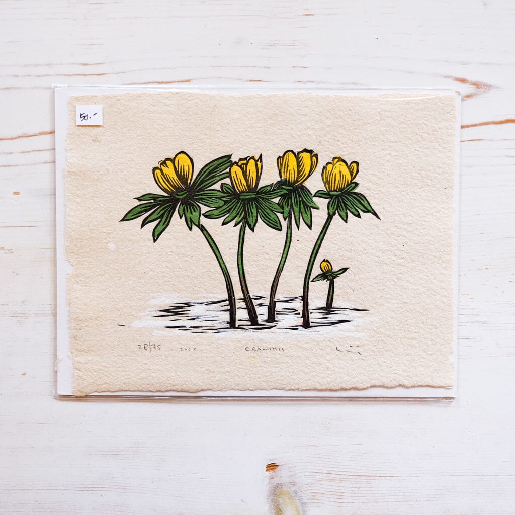 Eranthis Block Print Art Print Papillon Press 