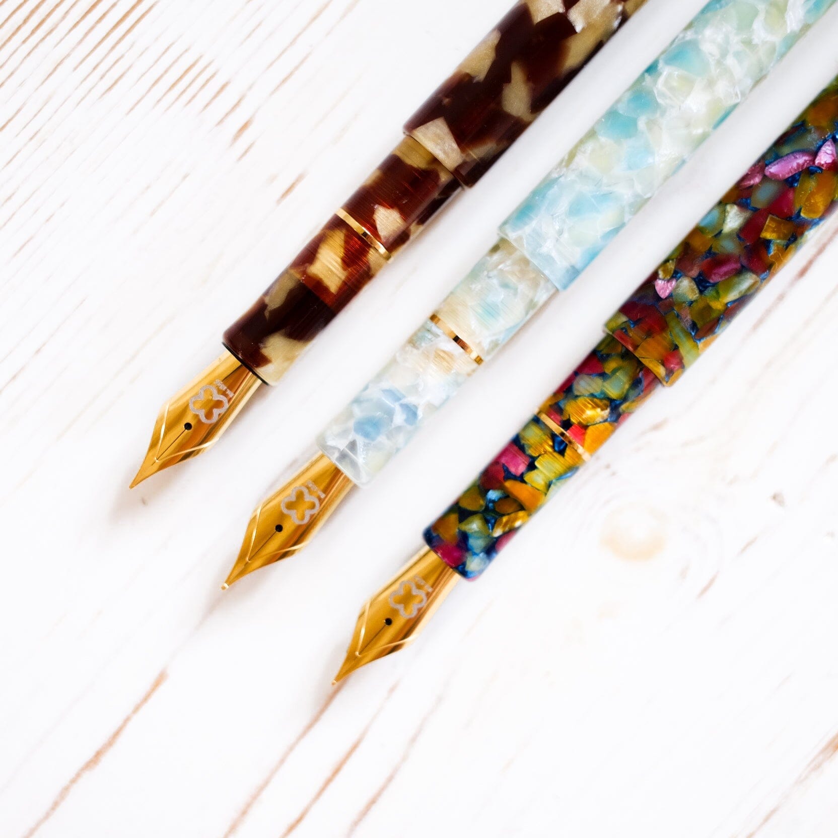 Esterbrook Niblet Fountain Pen: Botanical Gardens Fountain Pen Esterbrook 