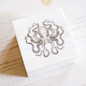 White Bone Box Box Madison Bay Co. Octopus 