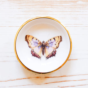 Butterfly Trinket Dish Tray Apricity Ceramics Orange 