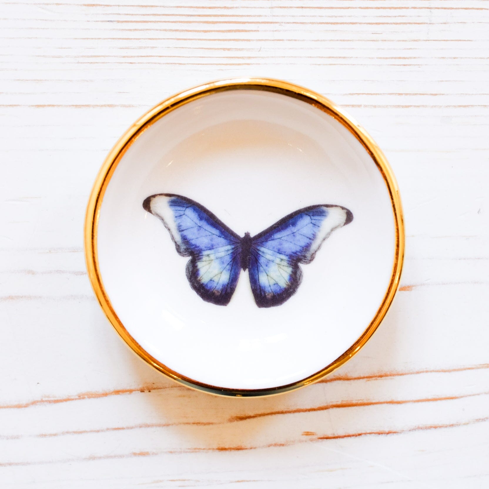 Butterfly Trinket Dish Tray Apricity Ceramics Blue Morpho 