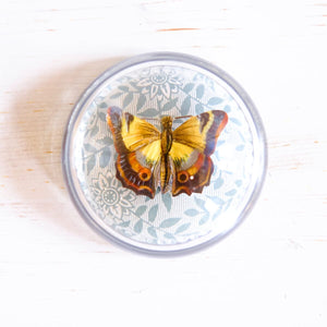 Glass Paperweight - Victorian Die Cut paperweight Papillon Press 
