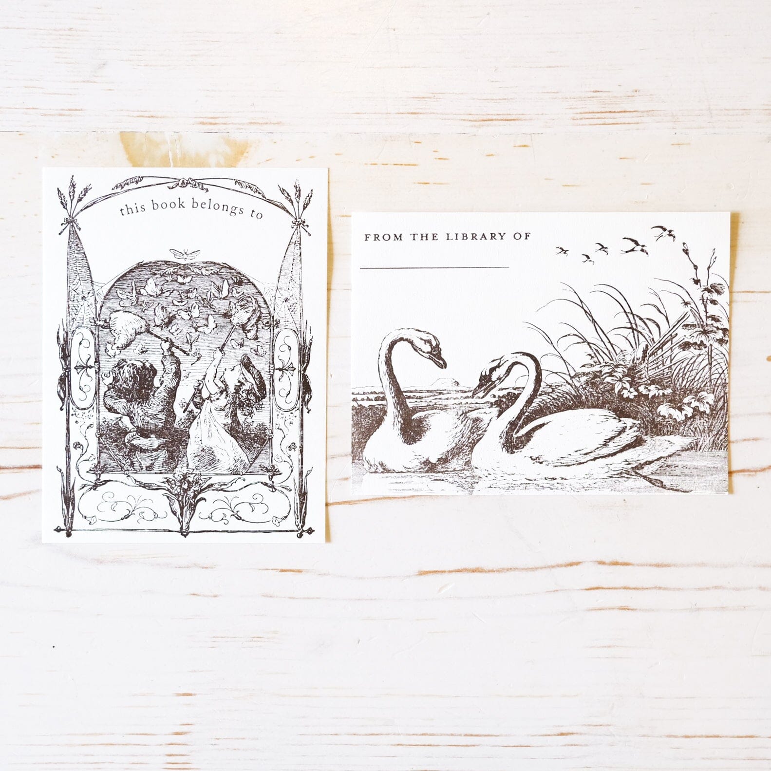 Letterpress Bookplates Book Plate Papillon Press 