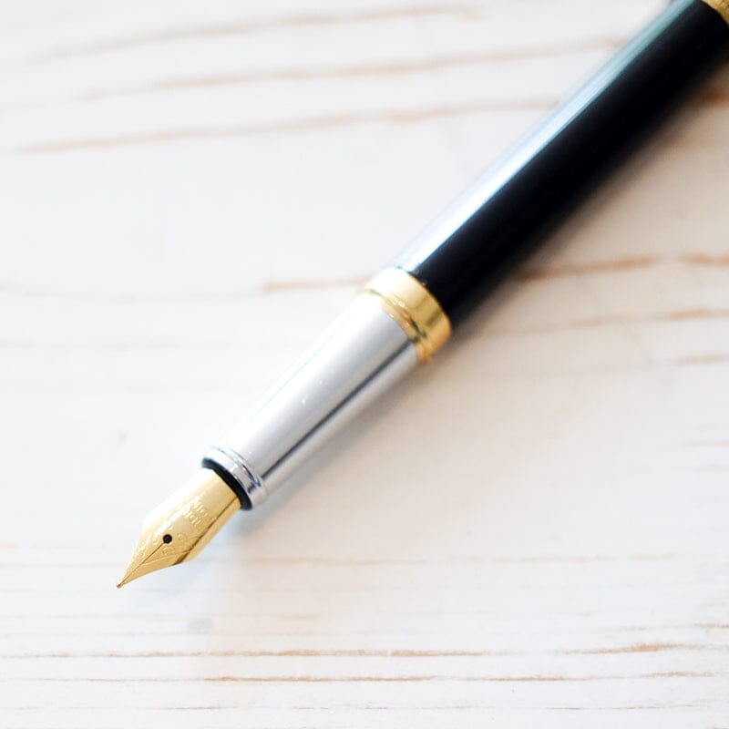 Hero Fountain Pen Fountain Pen Papillon Press 