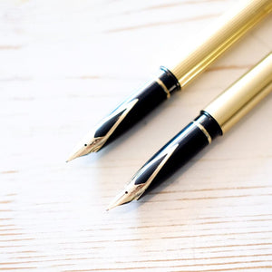 Sheaffer Targa Fountain Pen Fountain Pen Papillon Press 