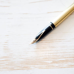 Sheaffer Targa Fountain Pen Fountain Pen Papillon Press 