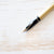 Sheaffer Targa Fountain Pen Fountain Pen Papillon Press 