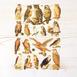 Victorian Die Cut Papers Die Cut Papers Antique-Style Item Birds of Prey 